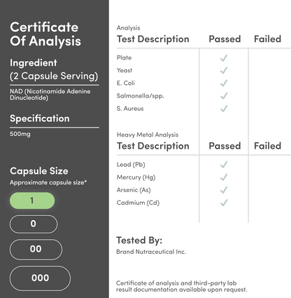 Double Wood Supplements NAD Anti Aging & Cell Regeneration | 500mg of 95% Pure NAD+ Per Serving, 30 Day Supply | Similar to Nicotinamide Riboside | Third Party Tested, Vegan Safe, Non-GMO