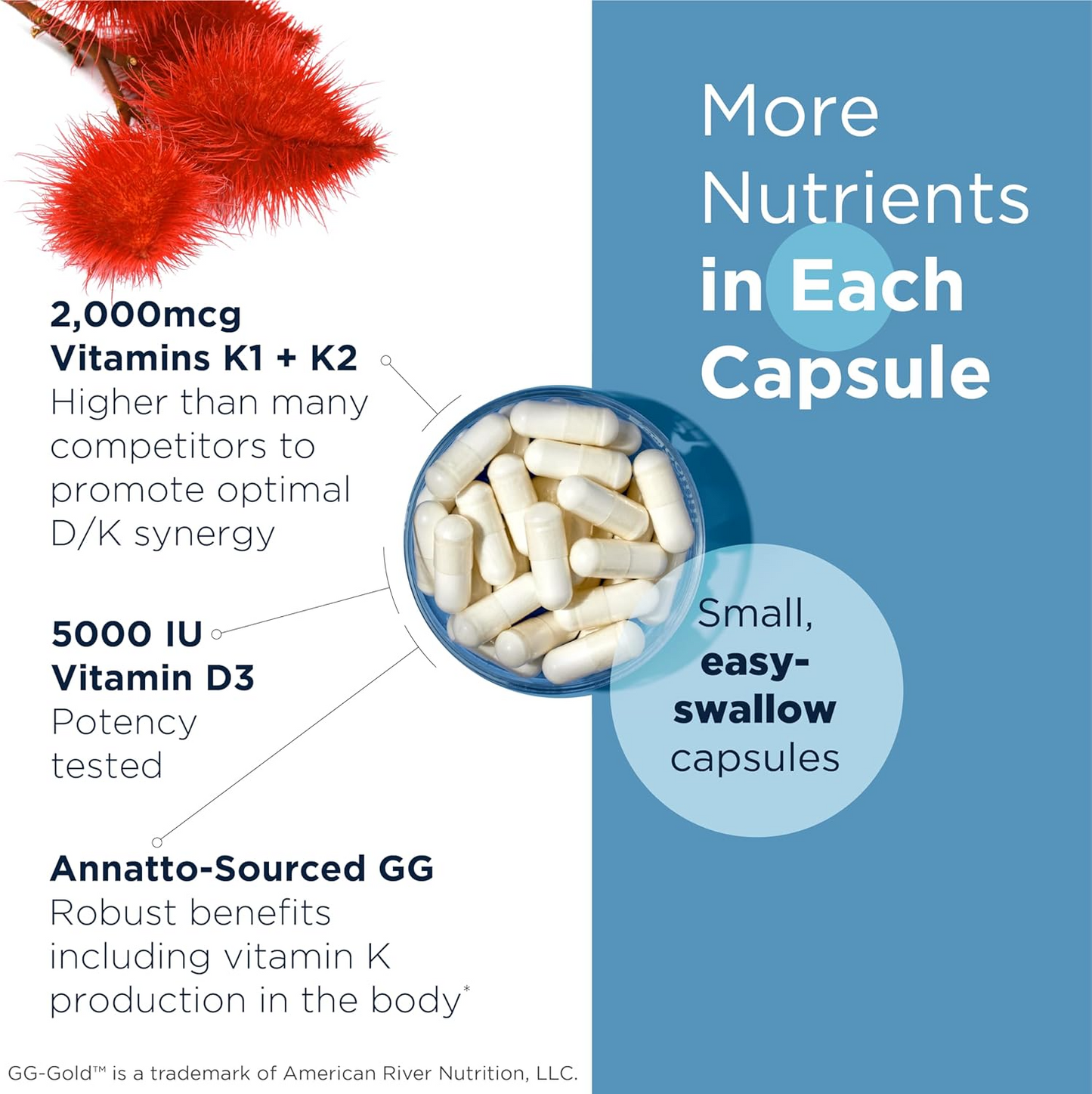 Designs for Health Vitamin D Supreme - Vitamin D 5000 IU with 2000mcg Vitamin K as MK4 for Bone Health, Heart Health, Mood & Immune Support - Vitamin D3 Enhanced with GG Supplement (60 Capsules)